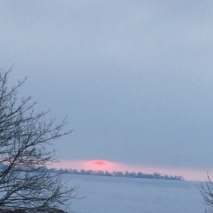 Meet your Posher, Cassie